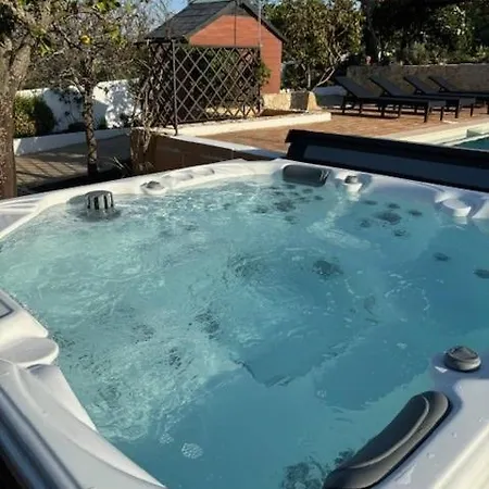 Galvana فيلة جويا